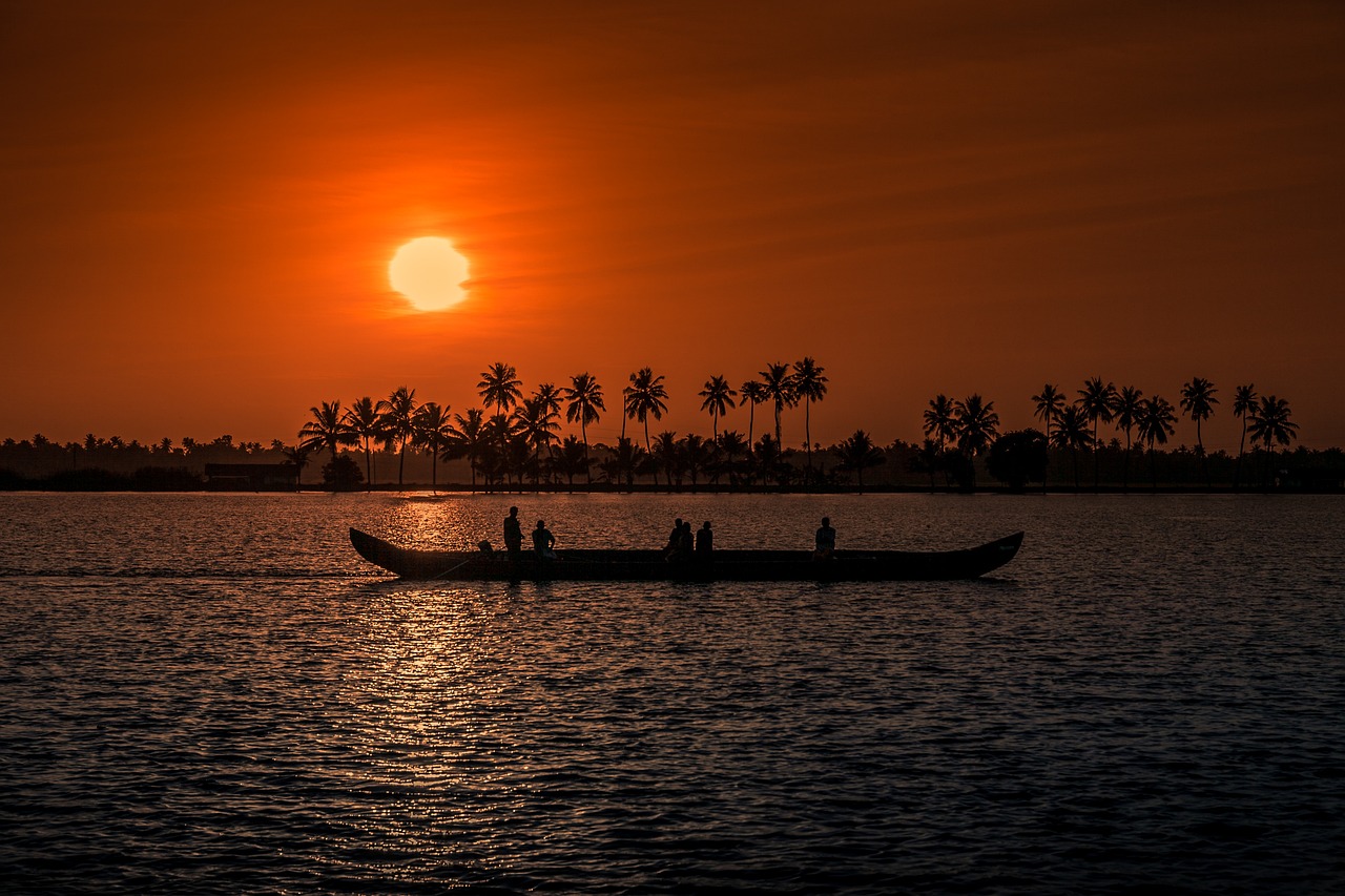 Exploring the Backwaters and Heritage of Cochin