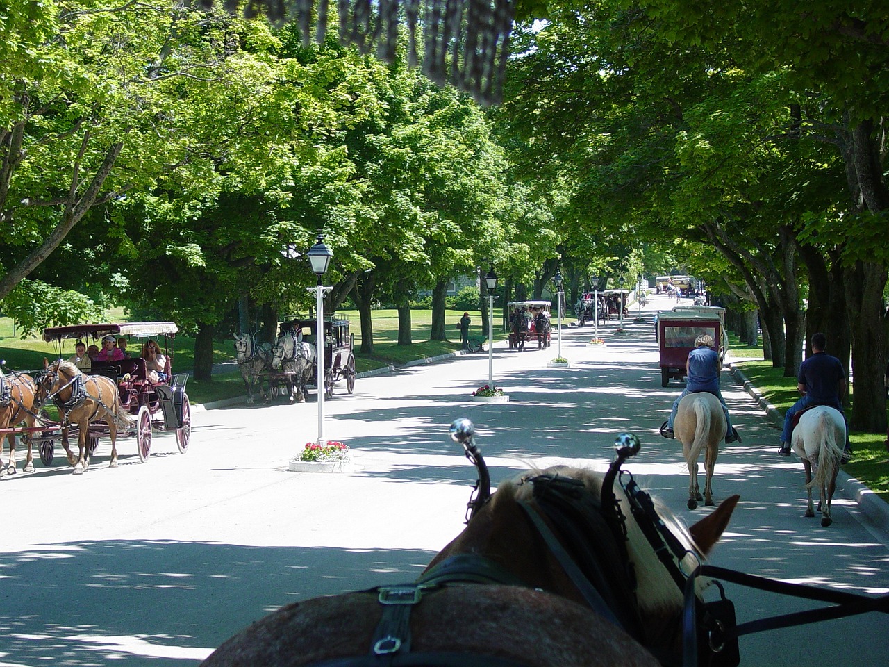 Exploring the Beauty of Mackinac Island