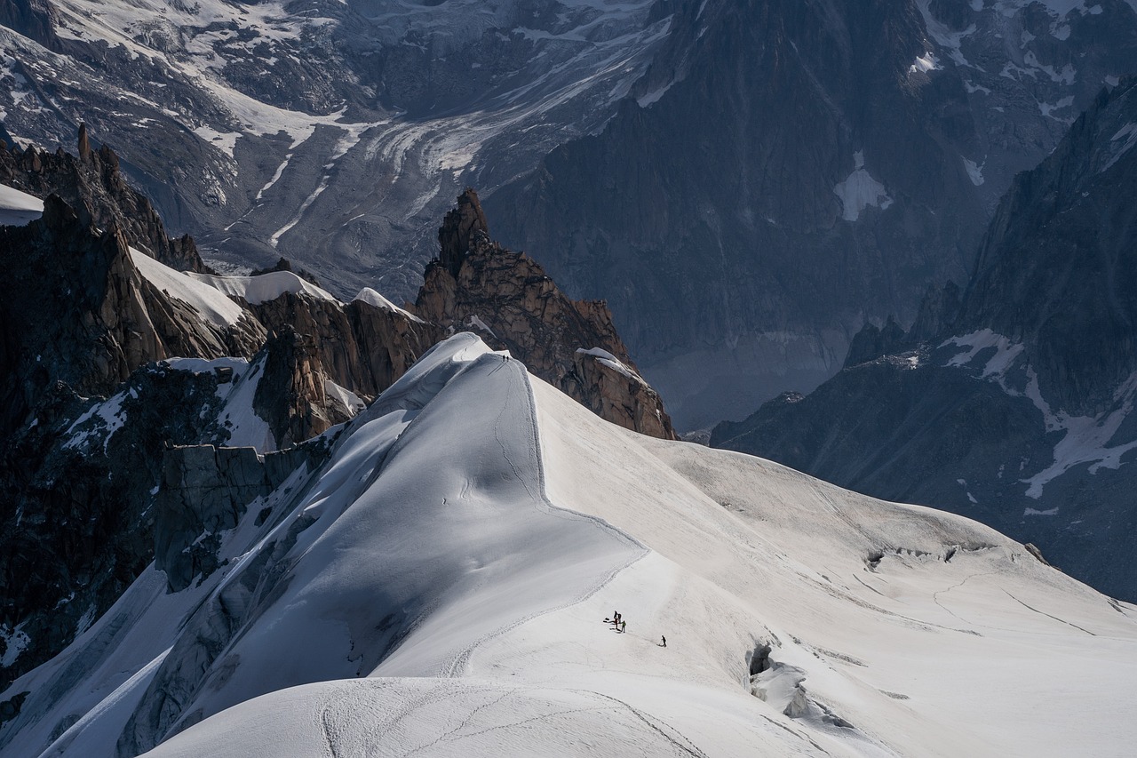 Alpine Skiing Adventure in Chamonix and La Grave