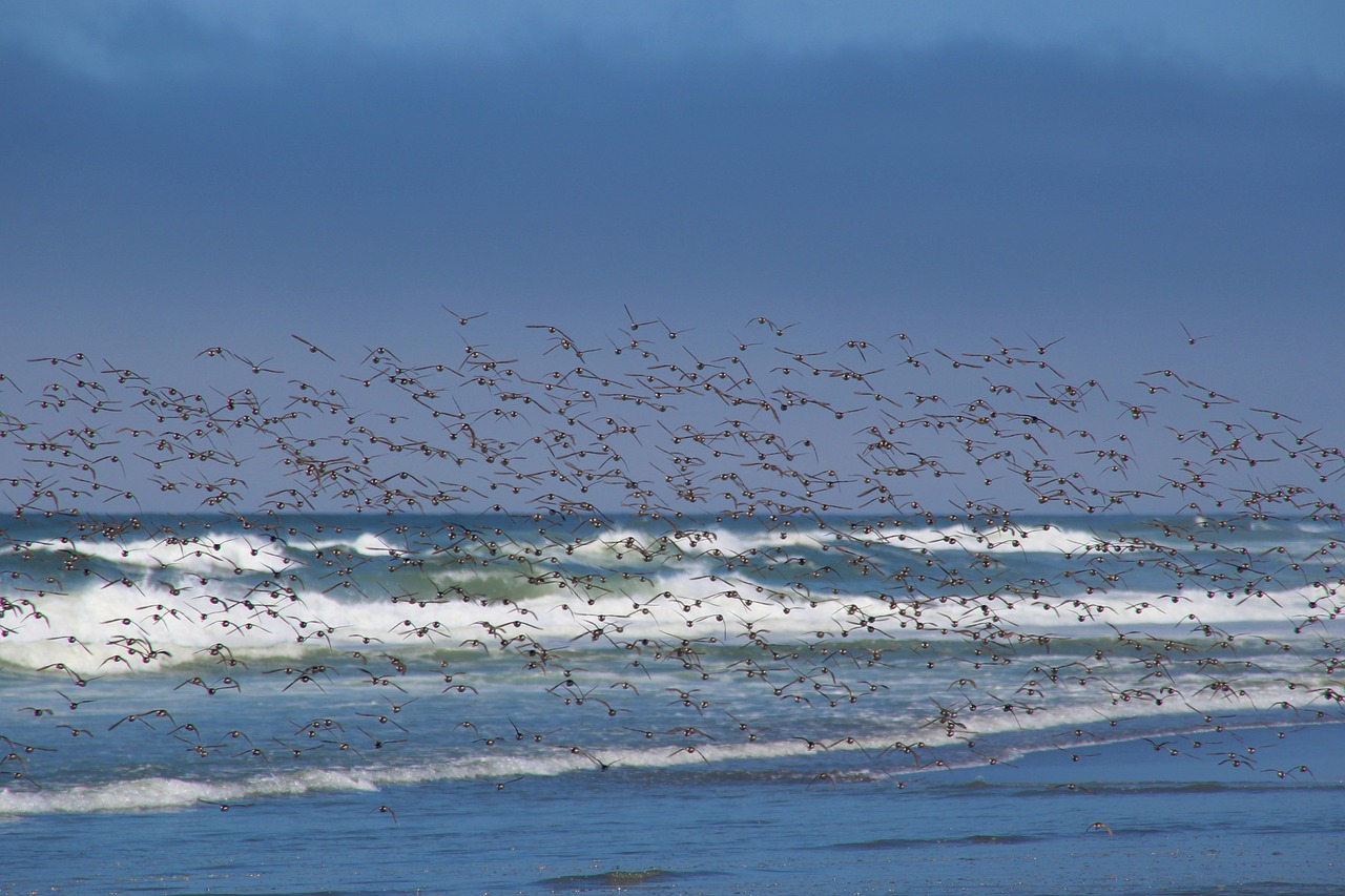 5-day trip to Eureka, California