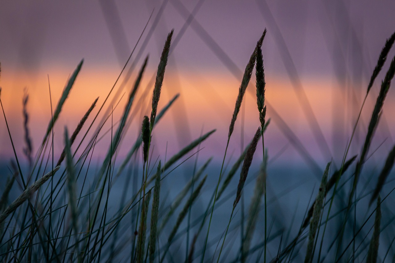 5-day trip to Tynt Meadow