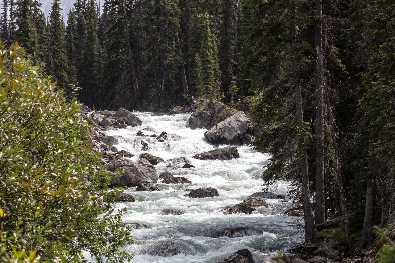 5-day trip to Calgary: Exploring the Heart of Alberta