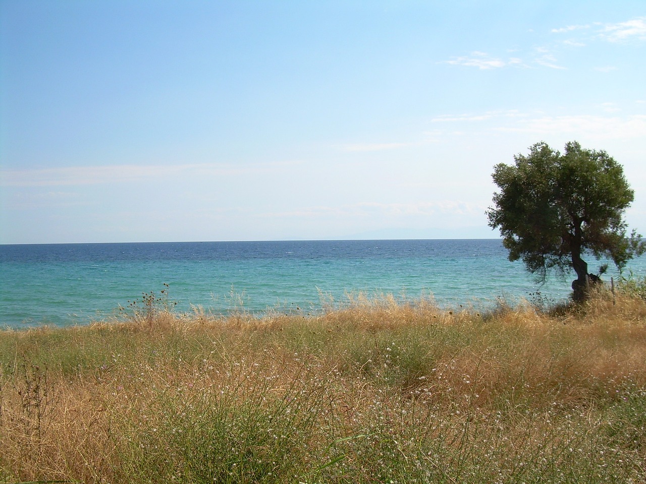 5-day trip to Nea Makri, Greece