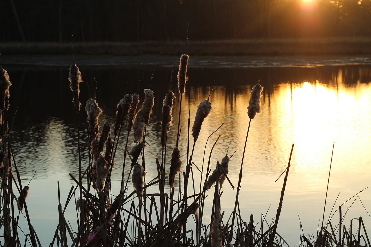 3-day Trip to Breda: Exploring Nature, History, and Culinary Delights