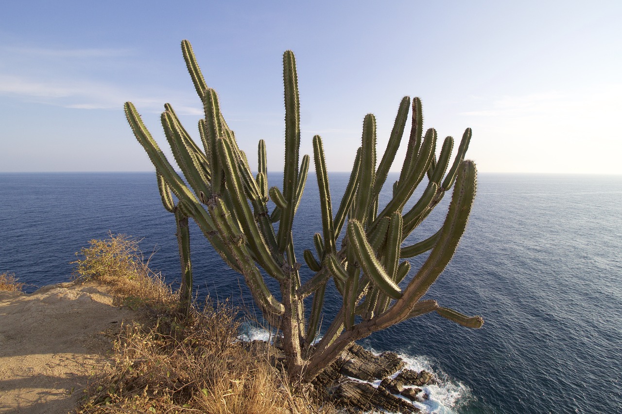 5-day Trip to Huatulco, Mexico