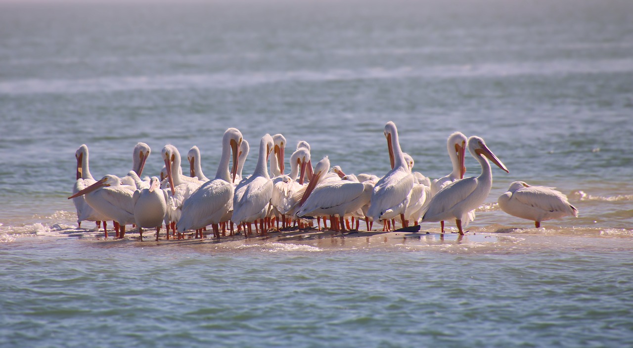 5-day Trip to Everglades National Park