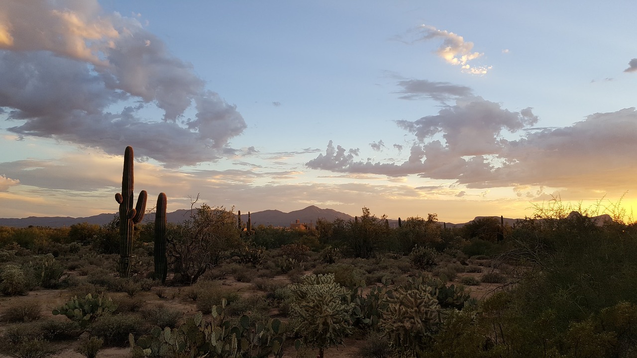 5 jours à Tucson, Arizona