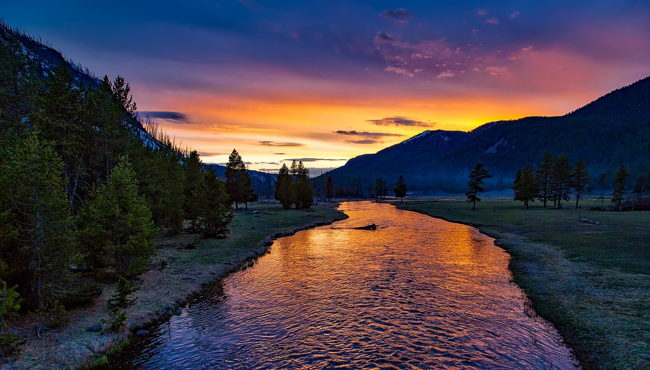 Exploring Yellowstone National Park