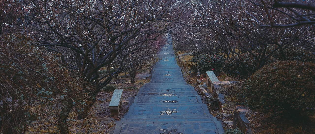 Exploring the Classical Gardens of Suzhou