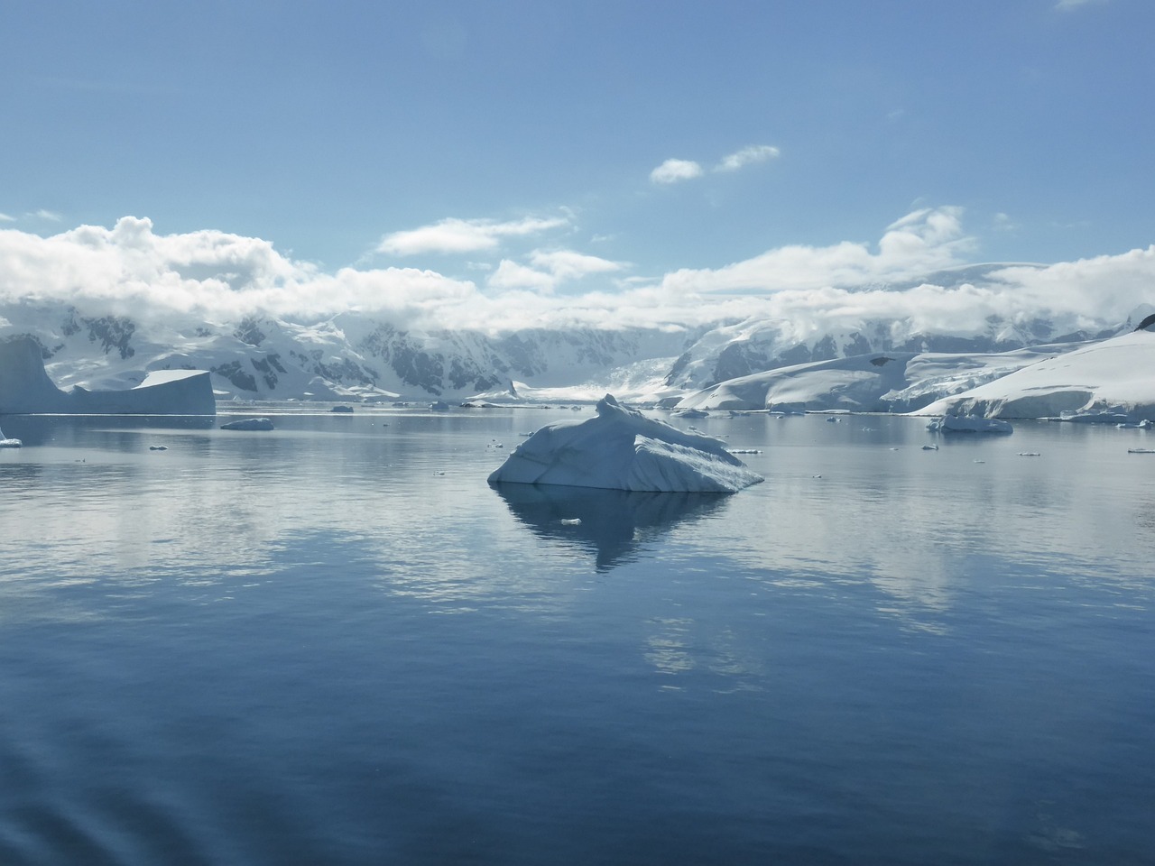 Exploring the Antarctic Peninsula