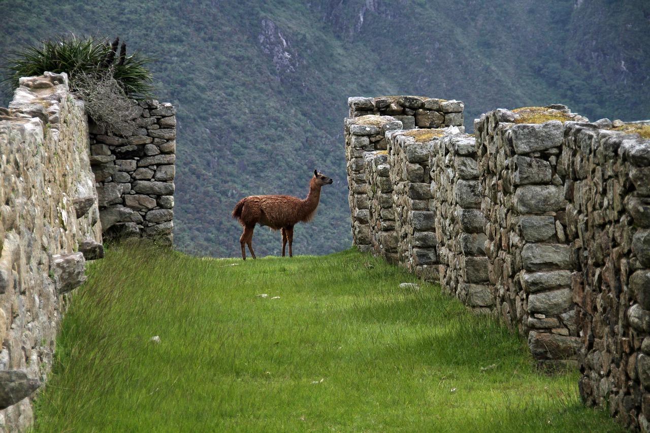 5-day trip to Cusco, Peru
