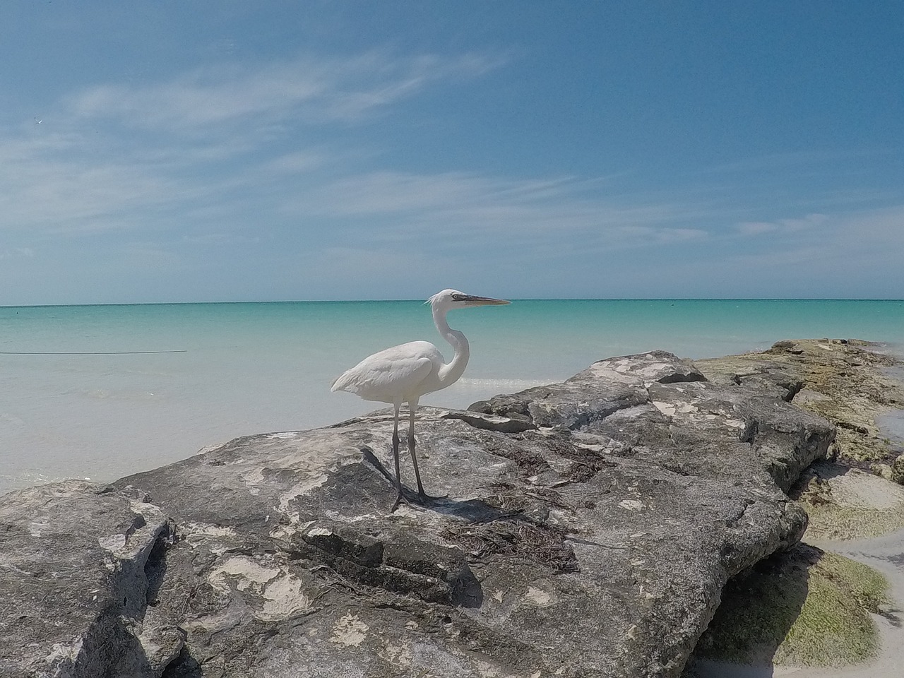 8-day trip to Holbox, Mexico