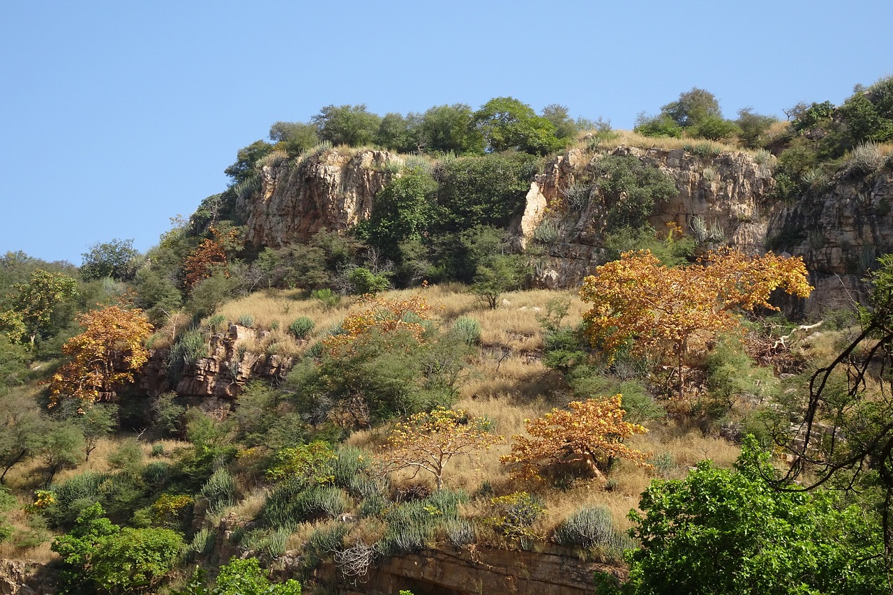 5-day trip exploring the Aravalli Range, India