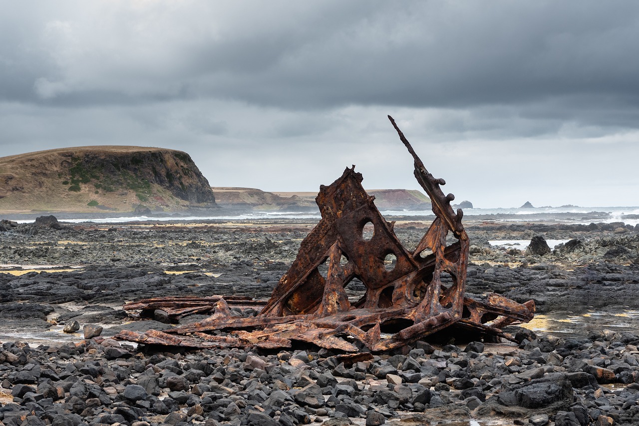 2-Day Adventure in Phillip Island, Australia