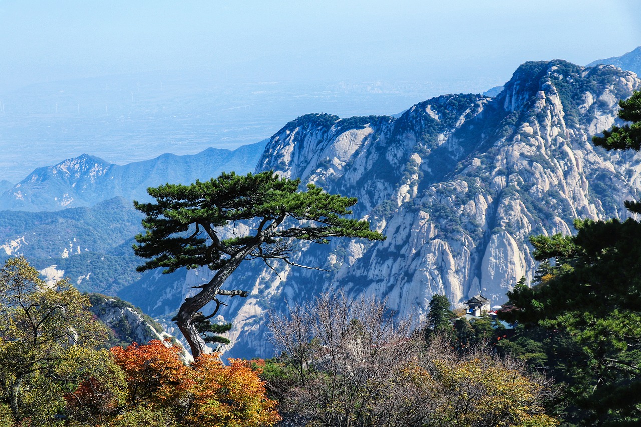 Culinary Delights and Cultural Wonders in Huashan and Huangshan