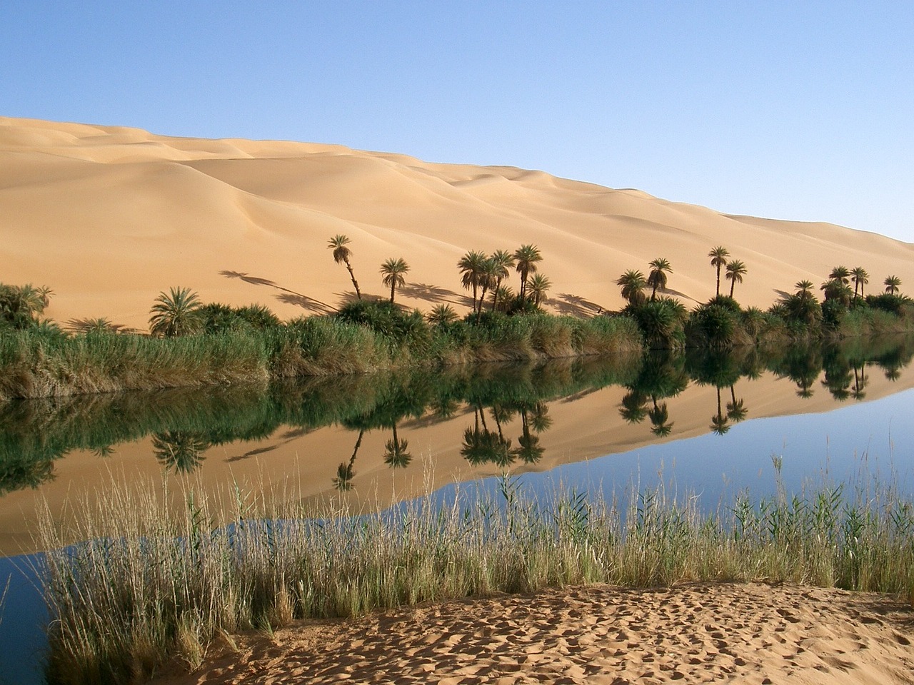 Palm Desert Culinary Delights & Desert Oasis