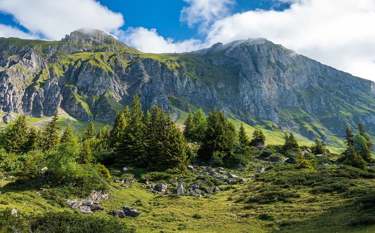 Esplorazione di St. Gallen in 3 giorni