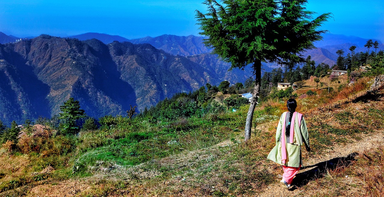 Scenic 5-Day Shimla, Manali, and Delhi Adventure