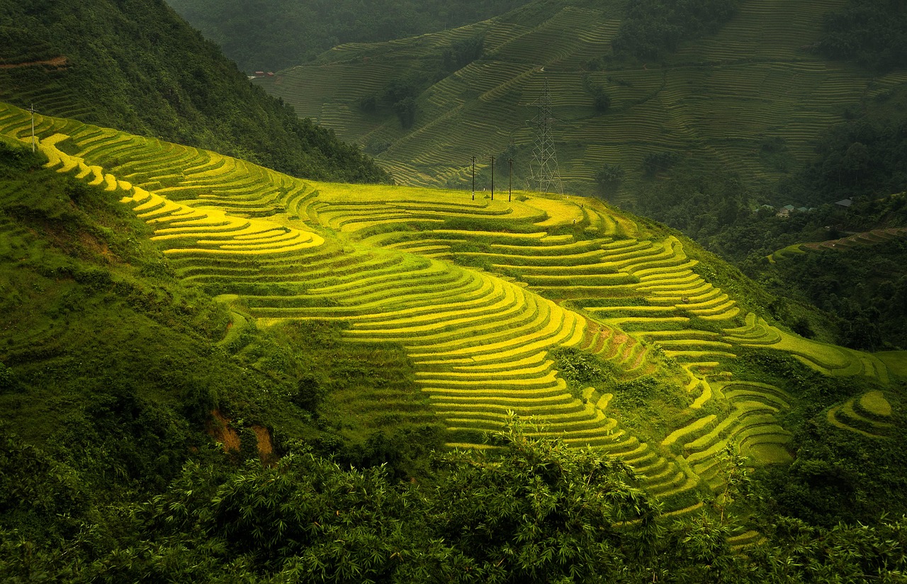 Cultural Delights of Vietnam: 5-Day Sapa, Hanoi, and Halong Bay Adventure