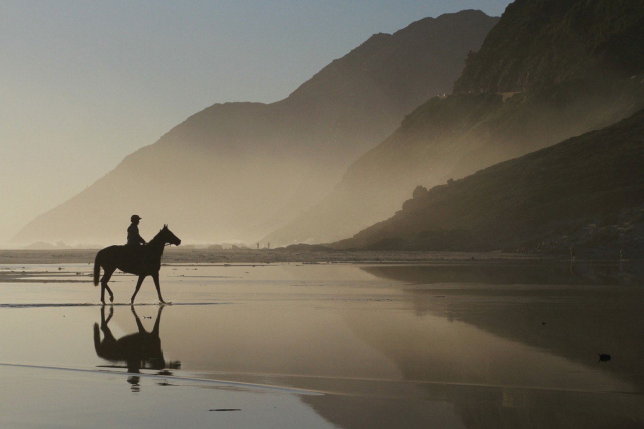 Esplorazione di Cape Town e i dintorni in 17 giorni