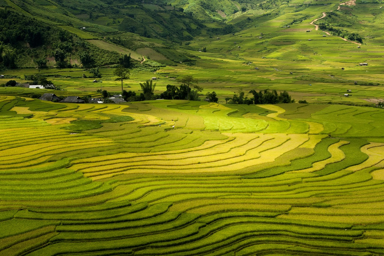 Scenic 5-Day Adventure in Northern Vietnam