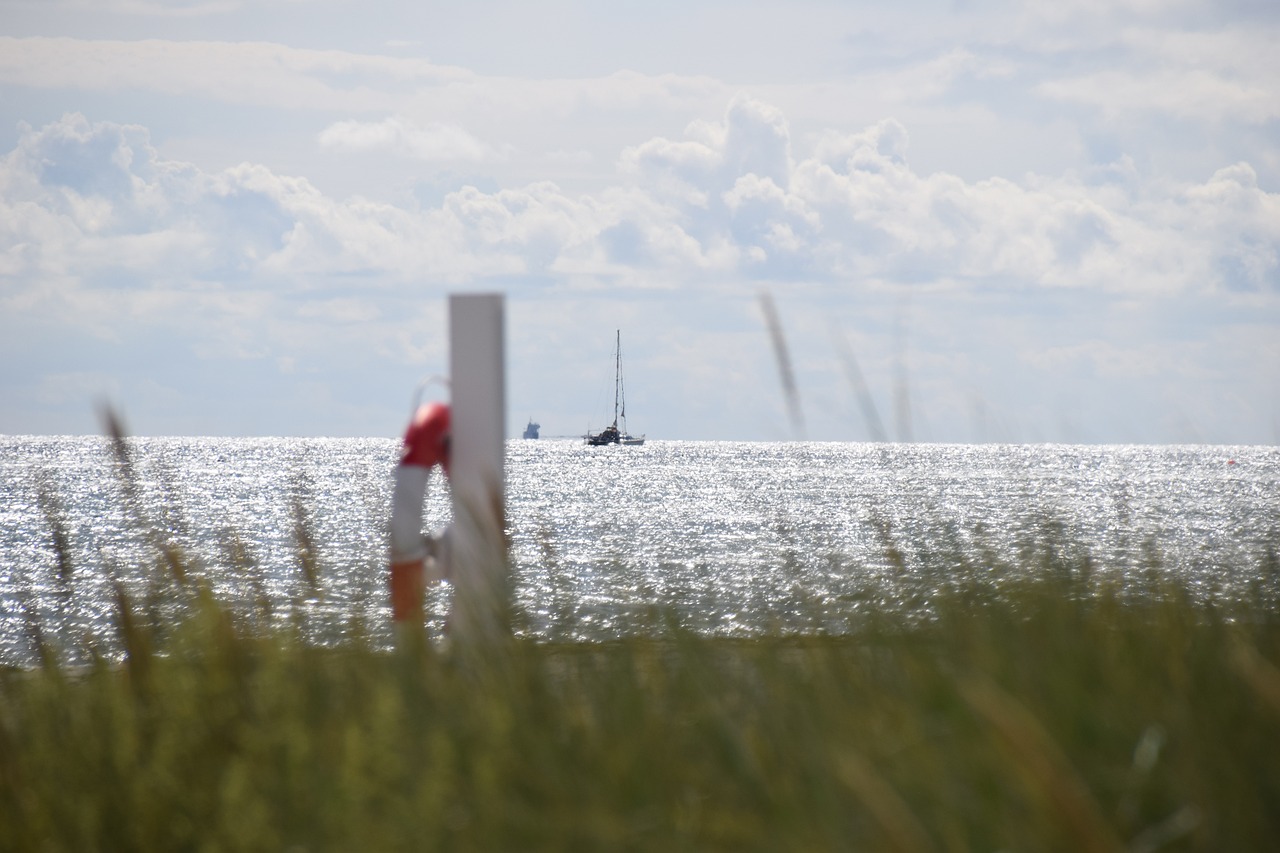 Culinary Delights and Coastal Charm in Grenaa, Denmark