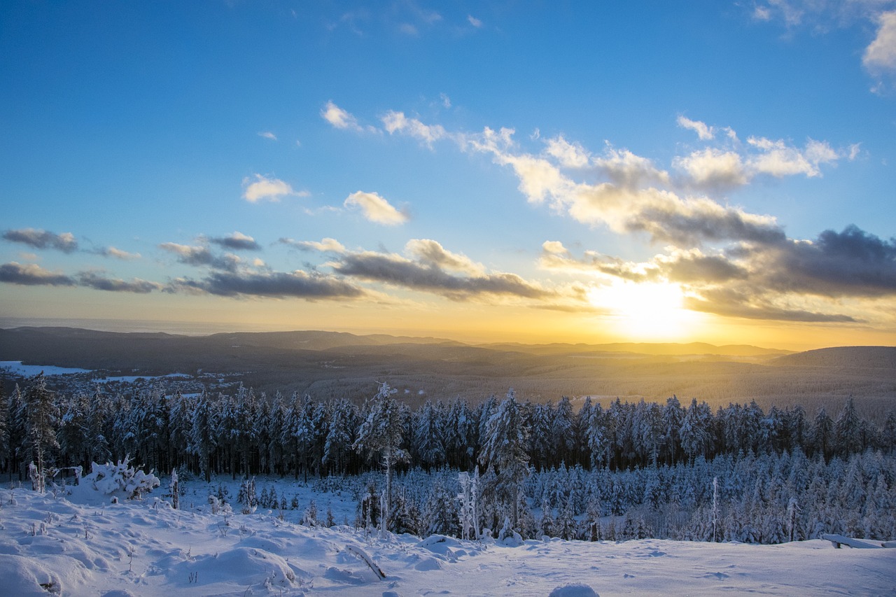 Culinary Delights and Natural Wonders in Braunlage