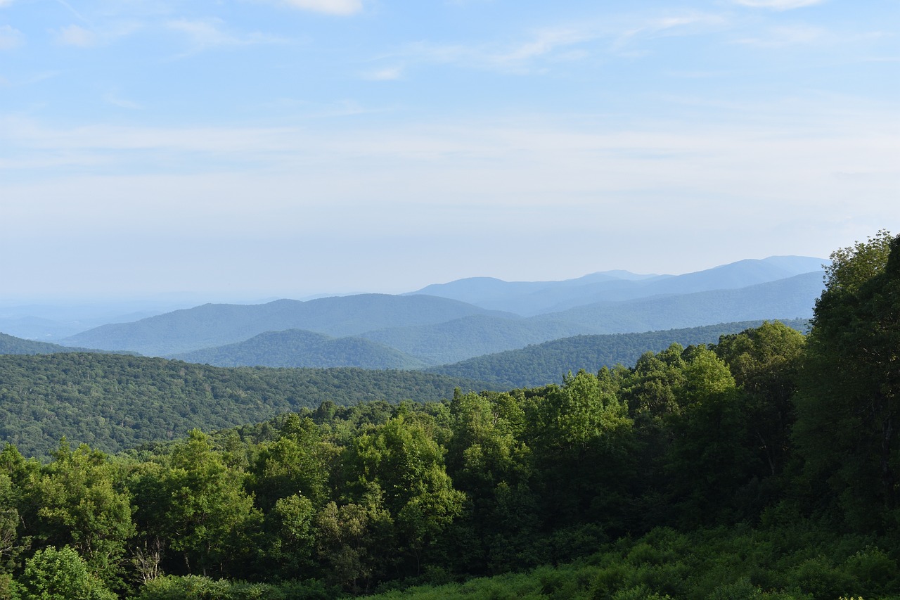 Scenic Day Trip in Shenandoah National Park