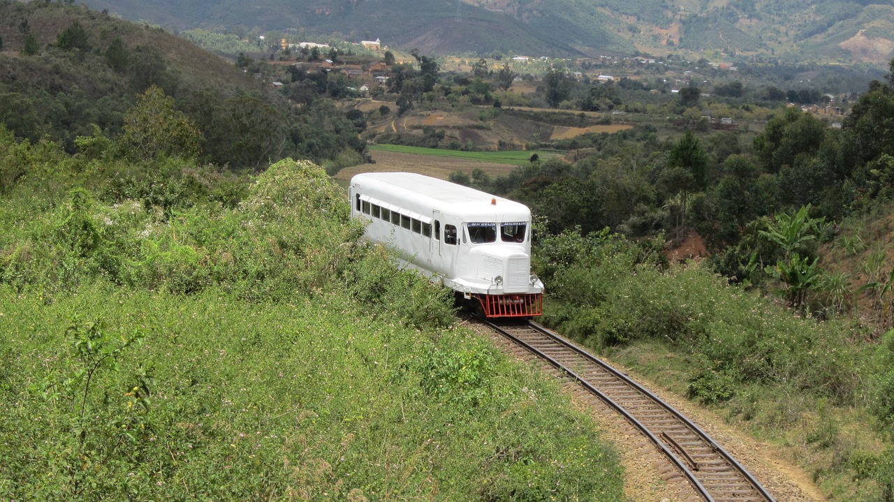 Culinary Delights and Cultural Wonders of Madagascar