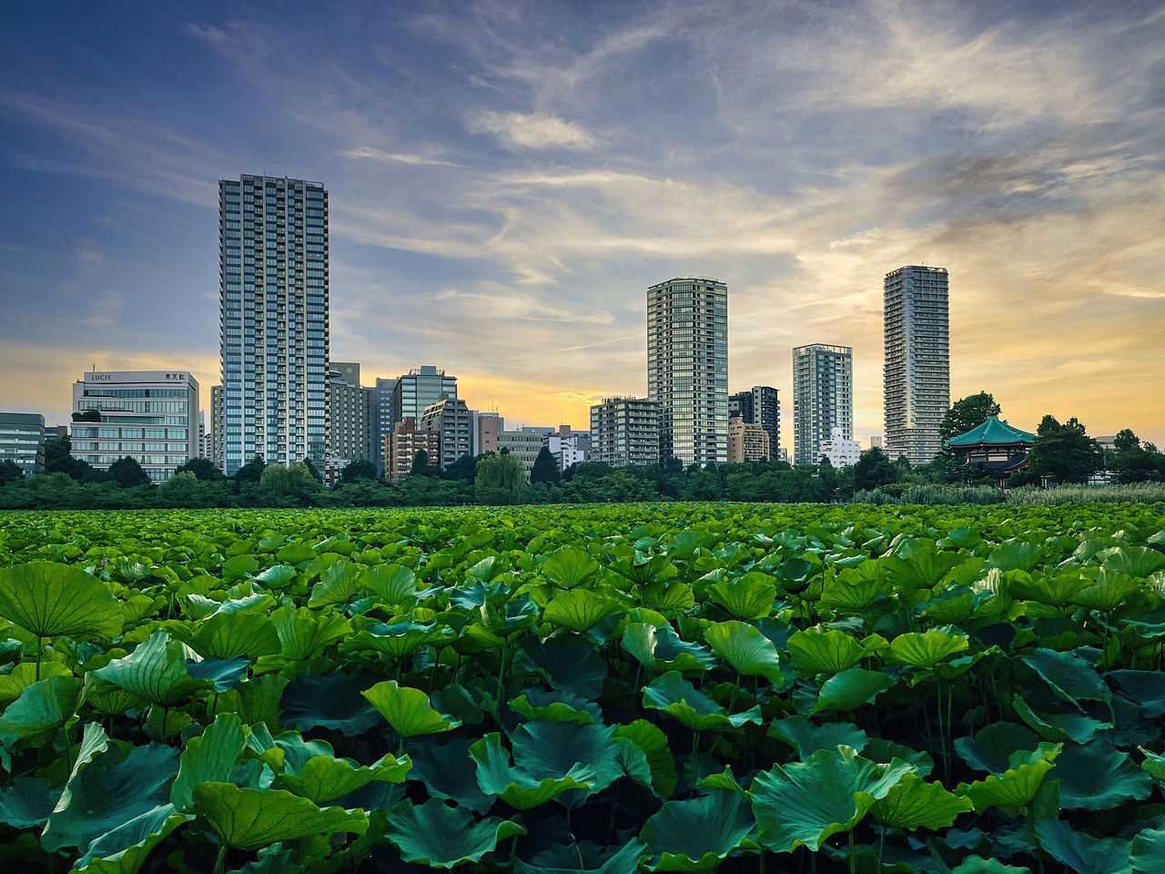 Cultural Delights and Culinary Wonders of Ueno, Tokyo