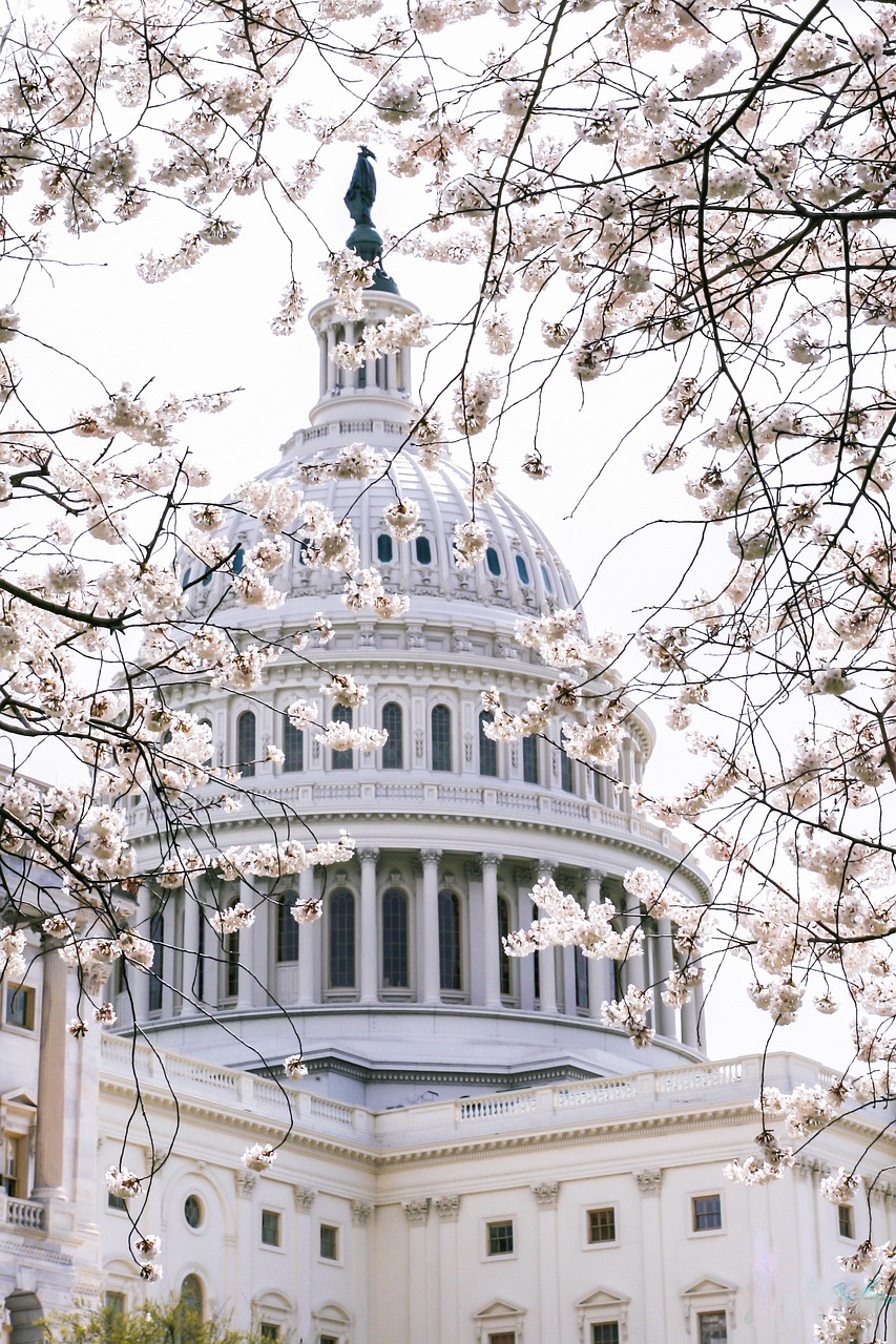 Monuments and Culinary Delights in Washington, D.C.