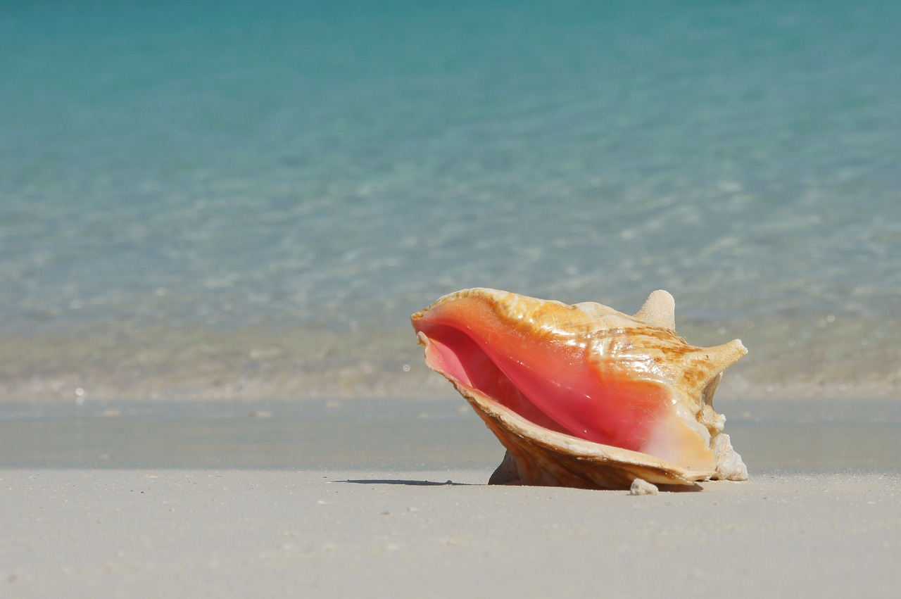 Experiencia Gastronómica en Exuma, Bahamas