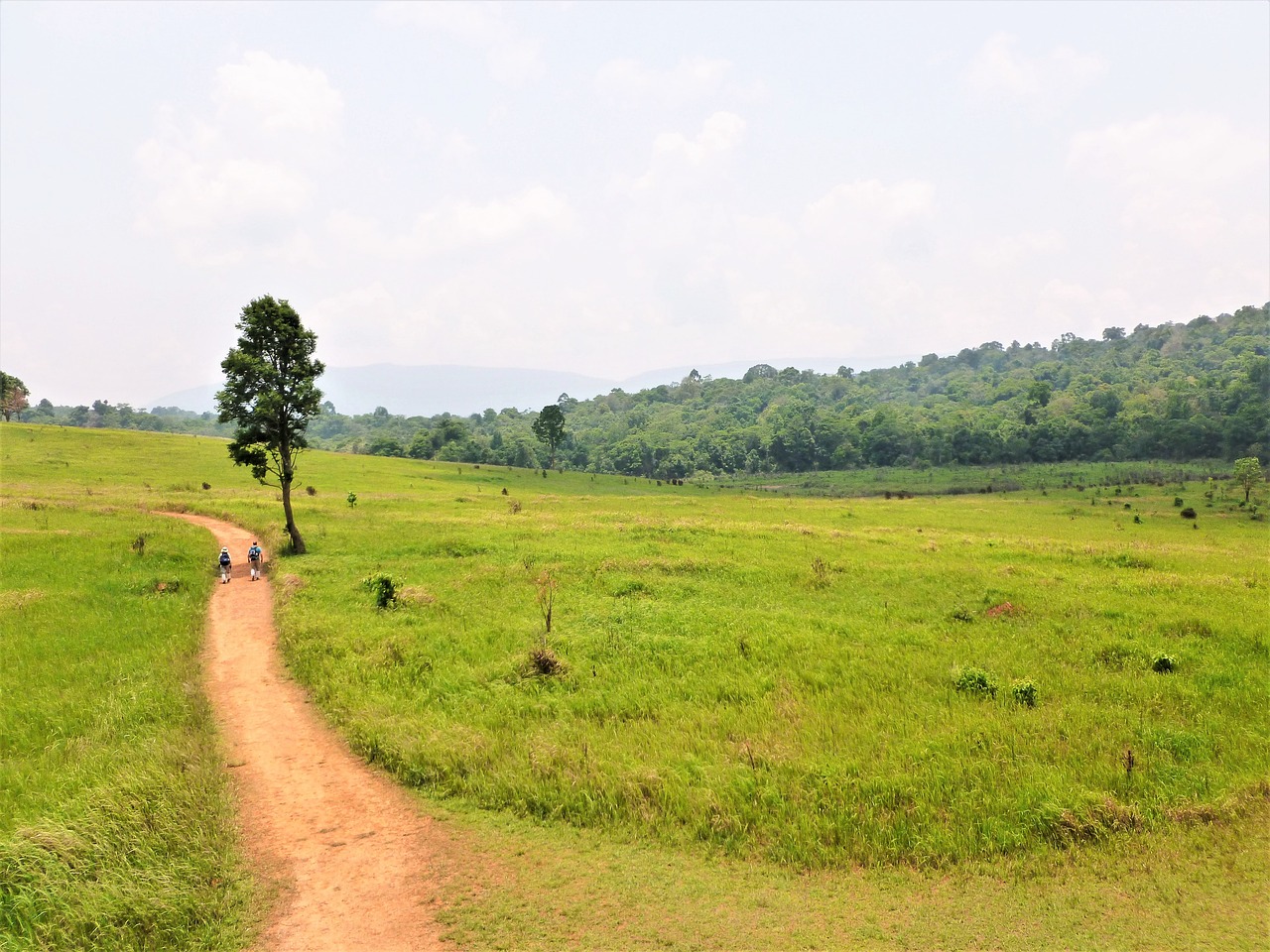 Culinary Delights and Natural Wonders: 3-Day Khao Yai National Park Getaway