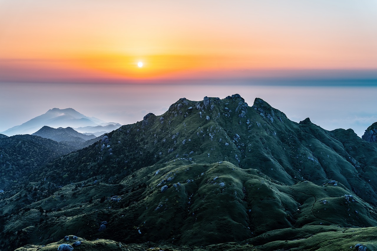 Yakushima Island Adventure: 5-Day Nature and Culinary Journey