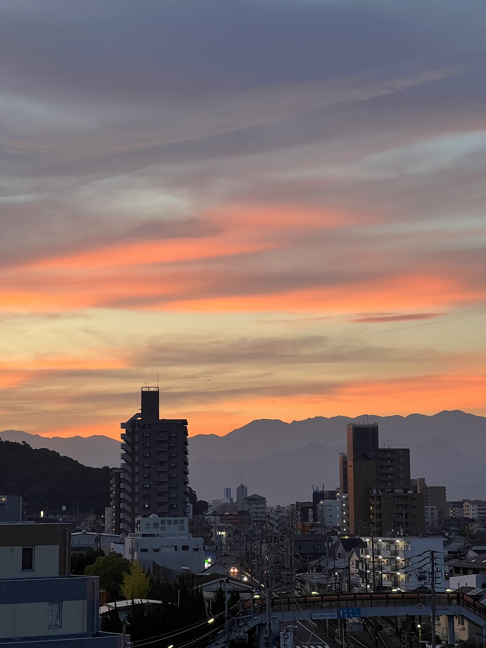 Culinary Delights and Cultural Wonders: 8-Day Matsuyama Exploration