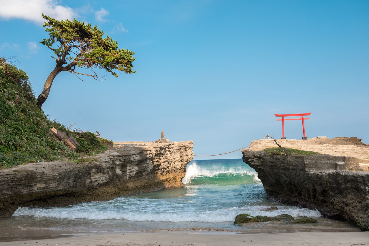 Scenic Splendors and Culinary Delights: 9-Day Shizuoka Exploration