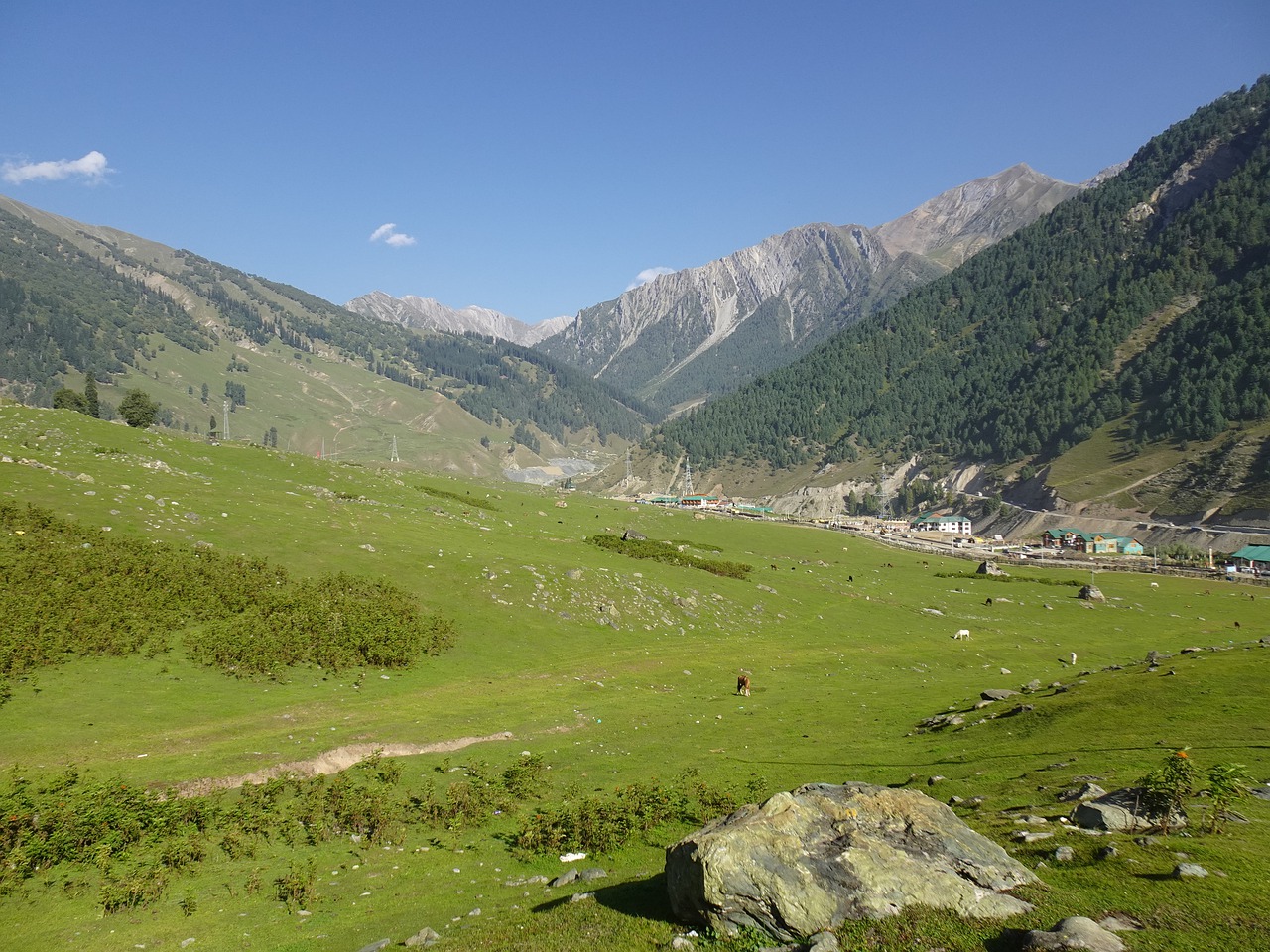 Scenic 5-Day Sonamarg Exploration with Local Cuisine