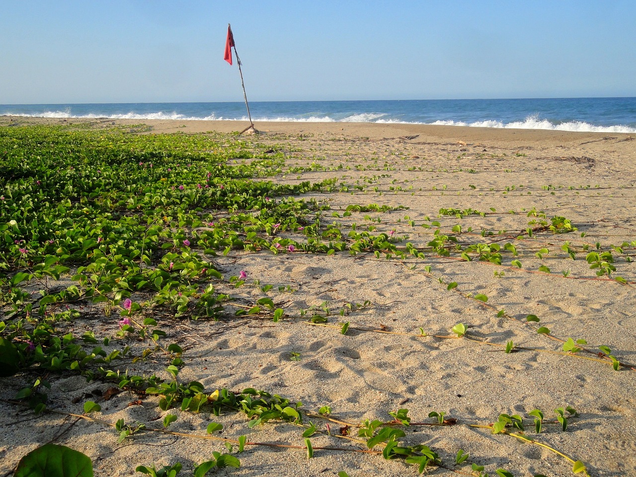 Tropical Delights: 4-Day Culinary Journey in Tayrona, Colombia