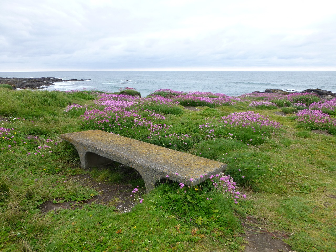 Coastal Culinary Delights in Yachats, Oregon