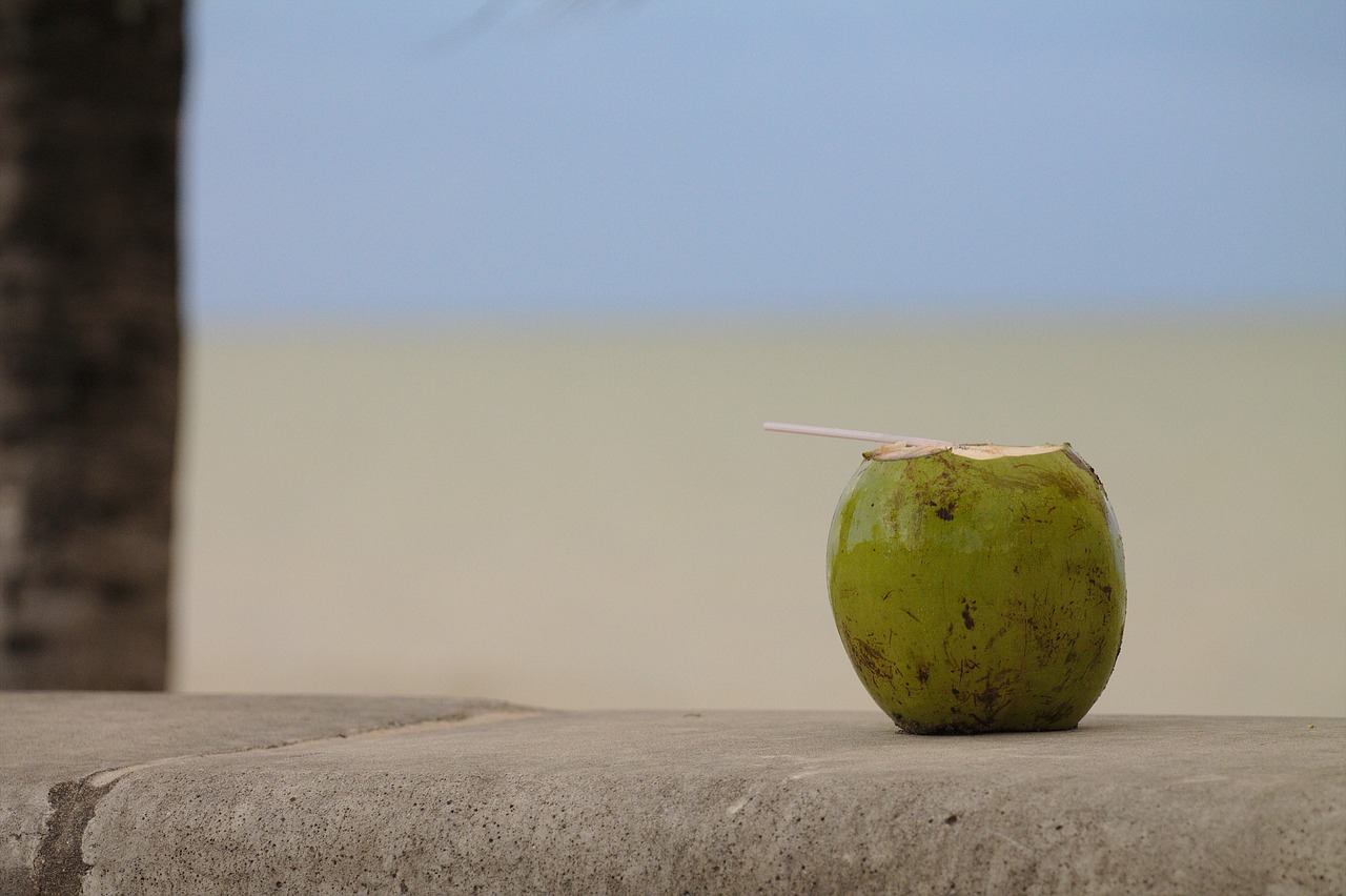 Culinary Delights and Lakeside Views in Caca, Angola