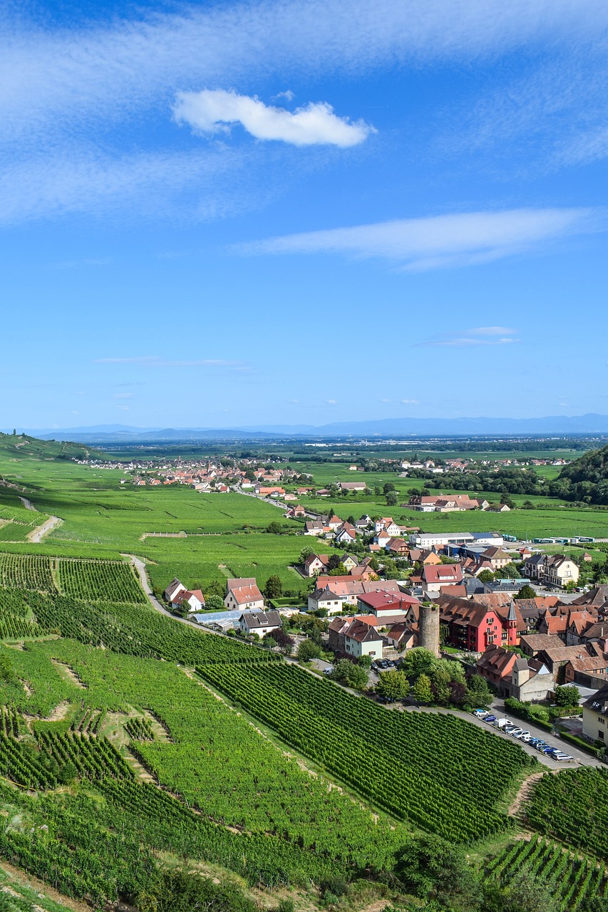 Découverte de la Route des Vins d'Alsace en 5 jours