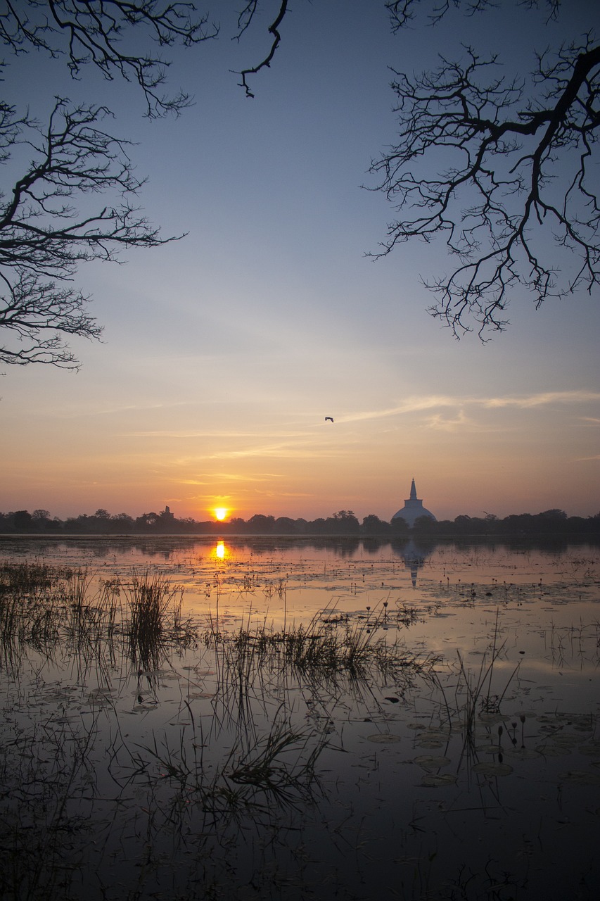 Cultural Delights and Culinary Journeys in Anuradhapura