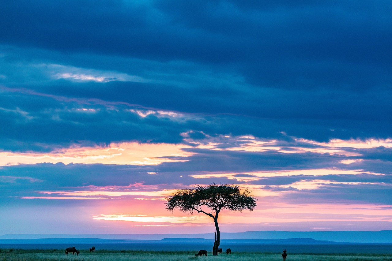 Safari Adventure in Maasai Mara, Kenya