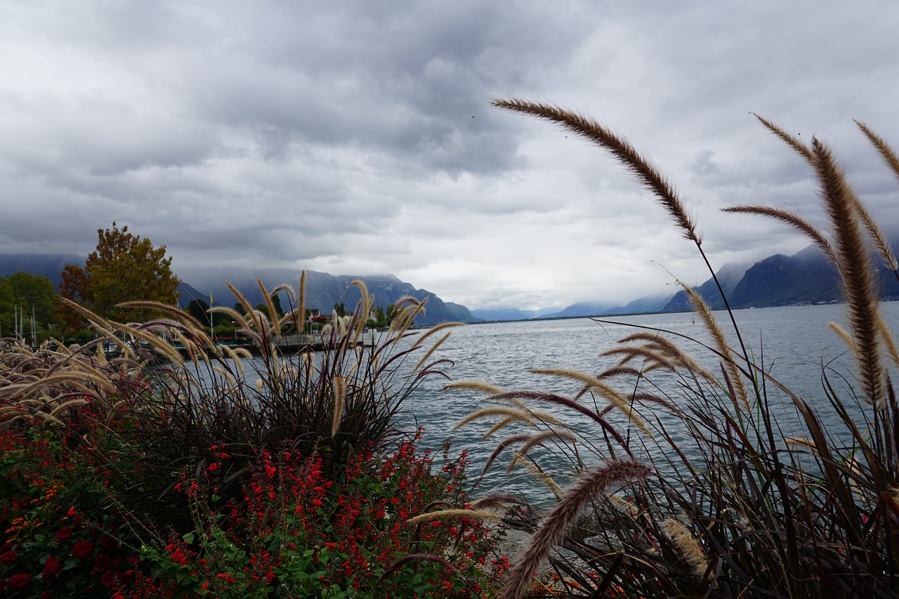 Culinary Delights and Lakeside Serenity in Vevey, Switzerland