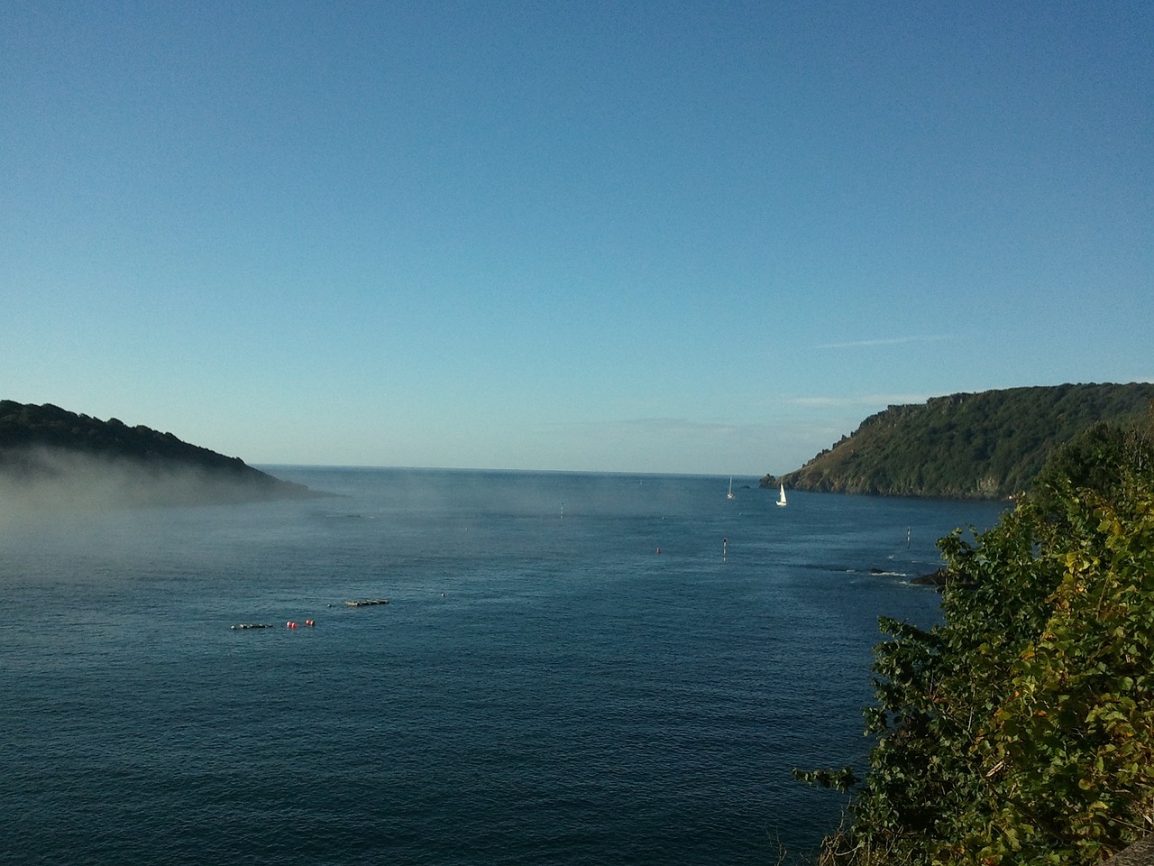 Scenic Delights and Culinary Wonders in Salcombe