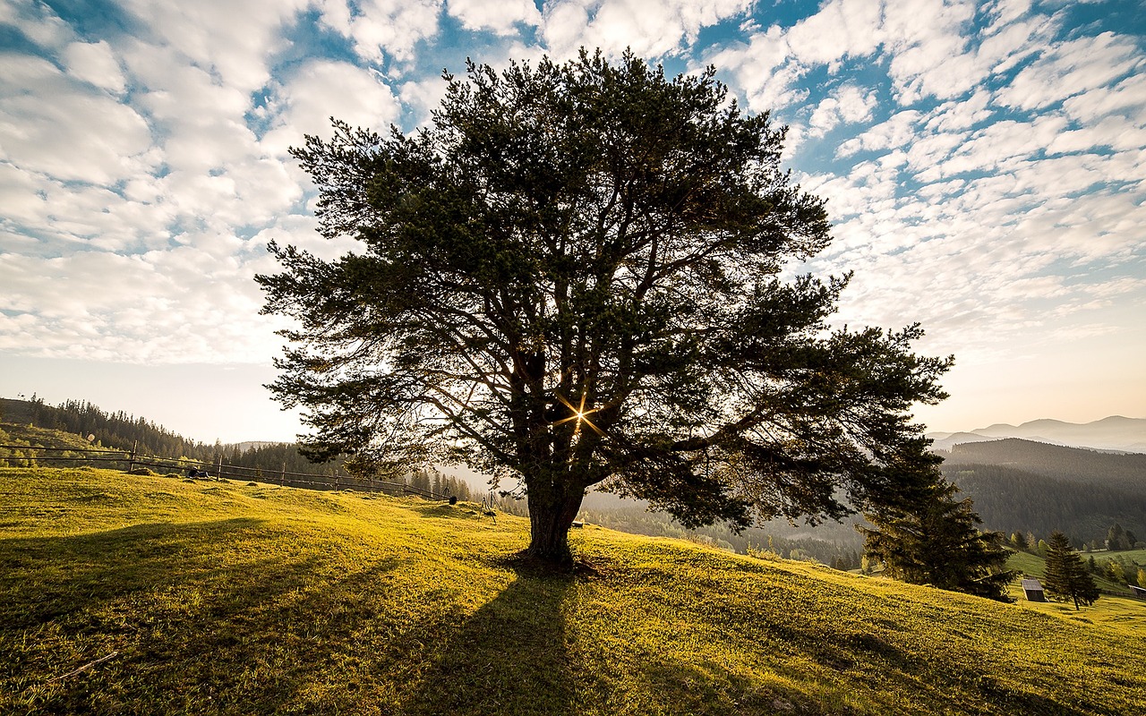 Explorando la Historia y la Naturaleza de Rumania en 8 Días