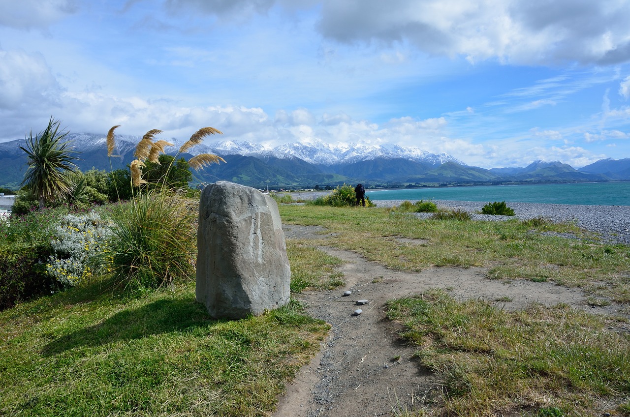 5-Day Culinary Adventure in Kaikoura, New Zealand