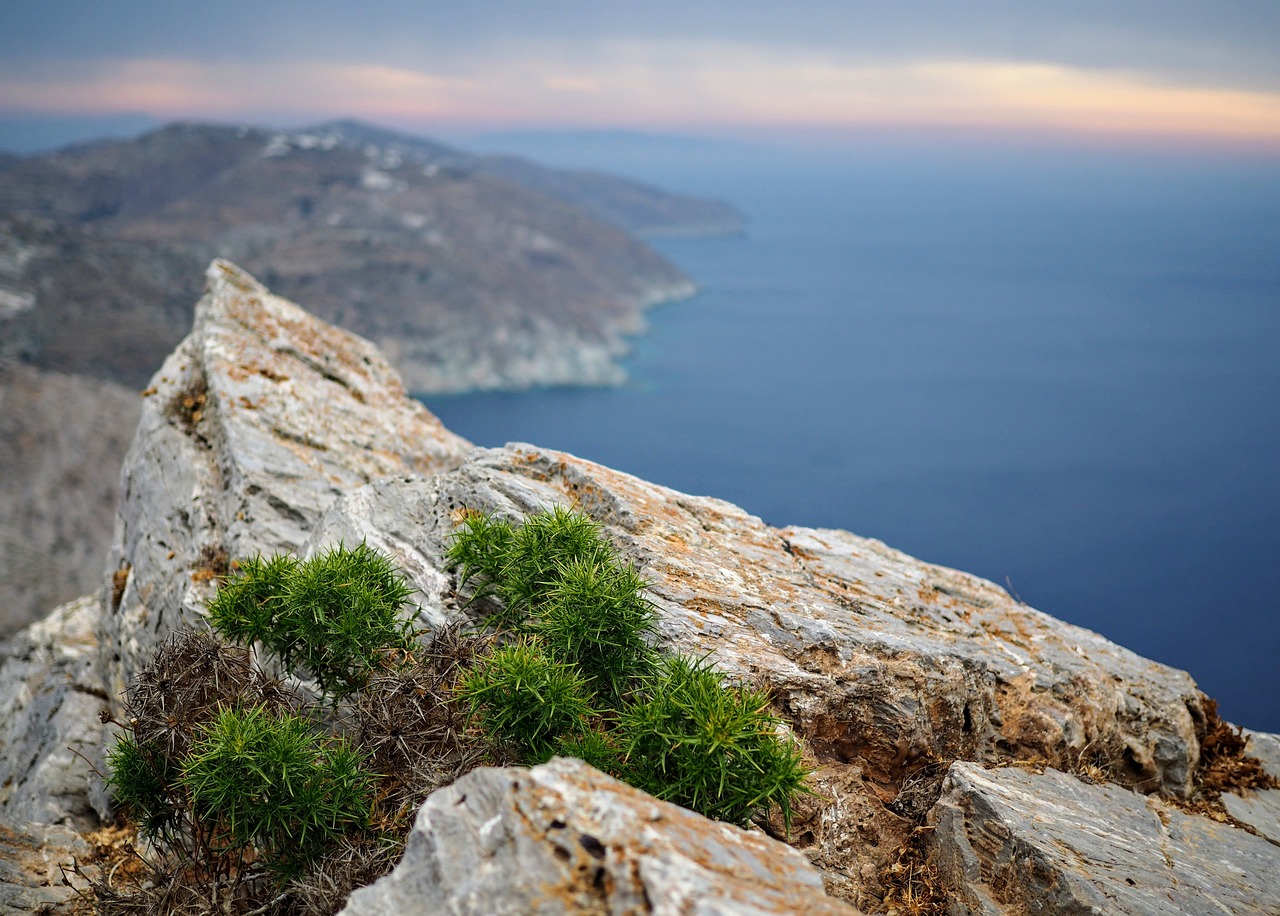 Culinary Delights and Island Charm in Folegandros, Greece