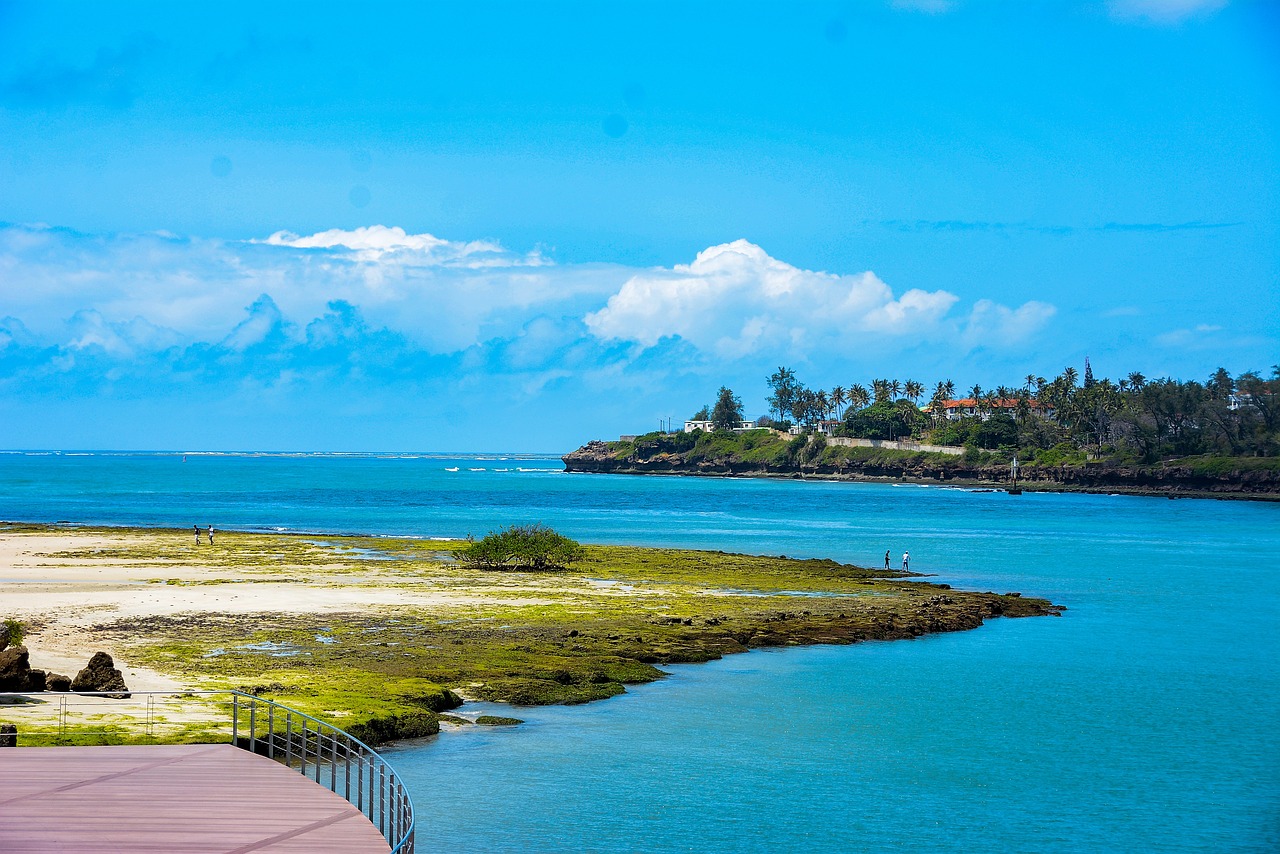 Culinary Delights and Coastal Vibes: 5-Day Nyali, Mombasa Experience