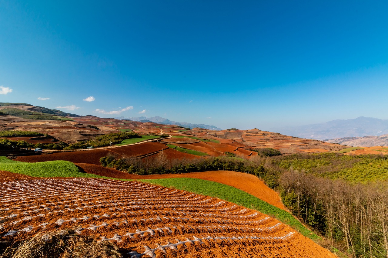 Scenic Wonders and Culinary Delights: 7-Day Kunming Exploration